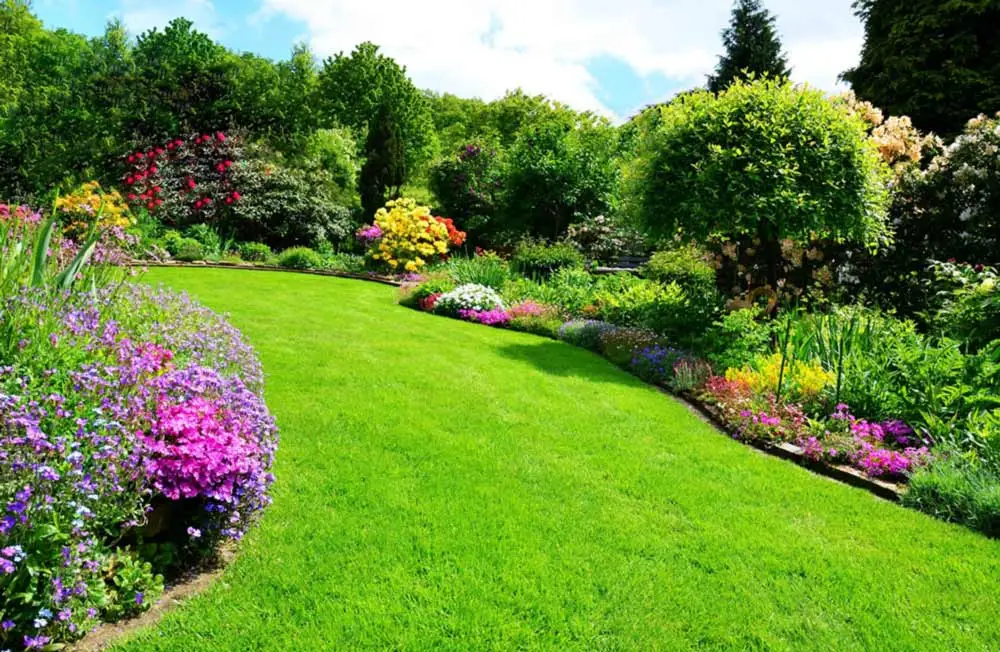 A lush green lawn with many flowers, shrubs, and bushes along the edges. It is a deep green color showing the benefits of fertilization.