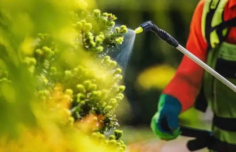 A technician wearing proper PPE is spraying a flowering bush for insects & pests.