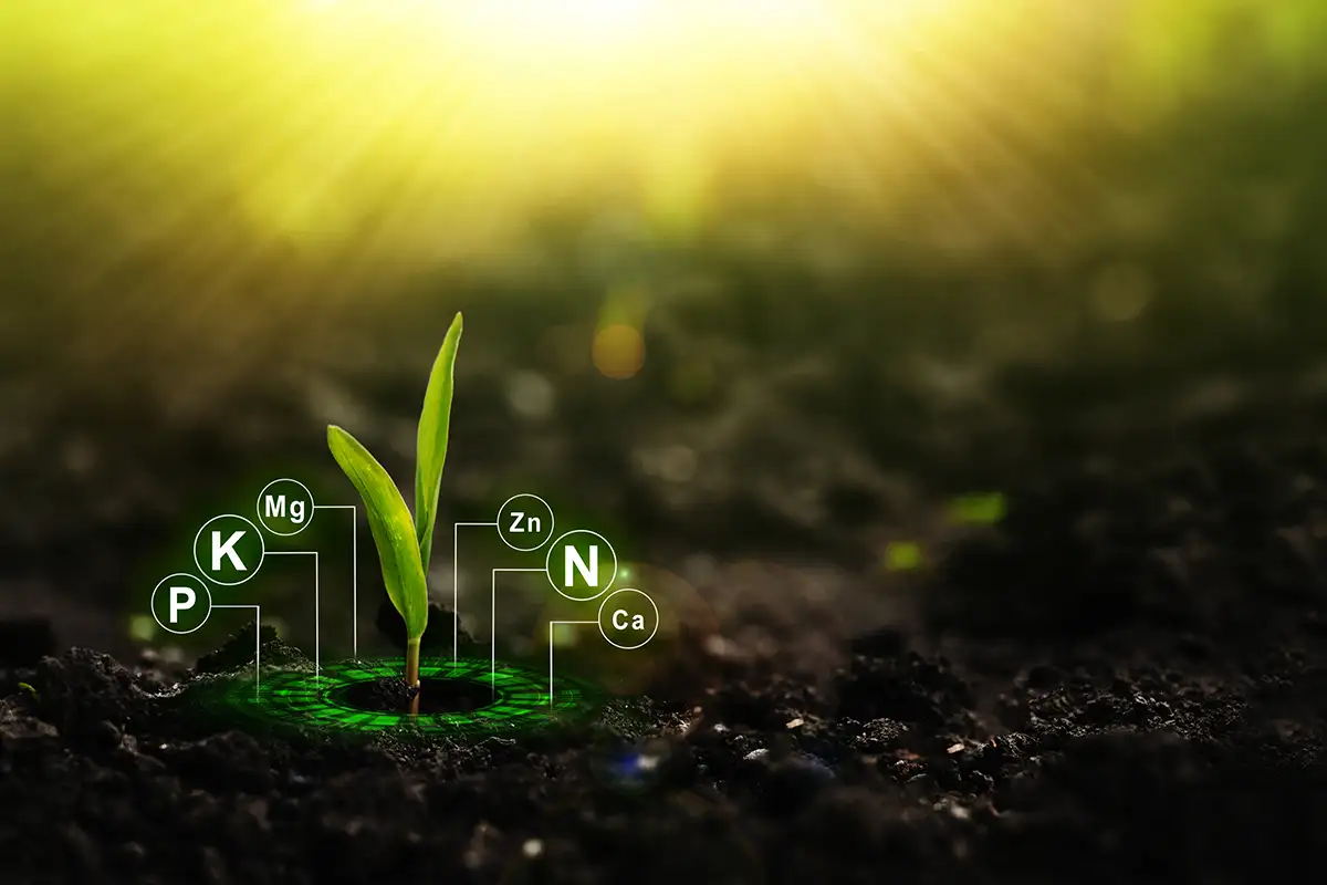 NPK fertilizer nutrients growth diagram