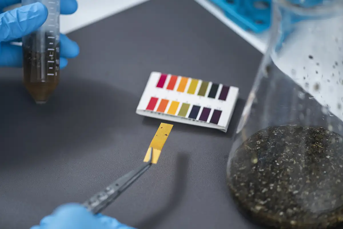 Soil testing before applying fertilizer